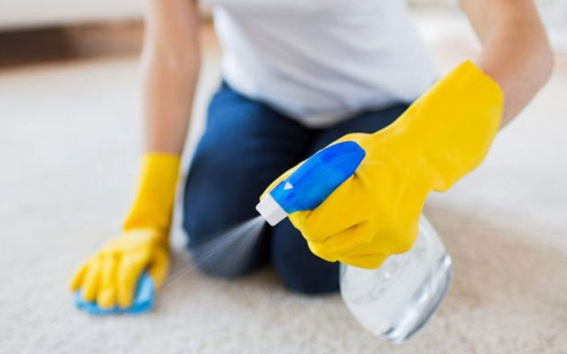 5 Most Recommended Methods of Carpet Cleaning Mississauga