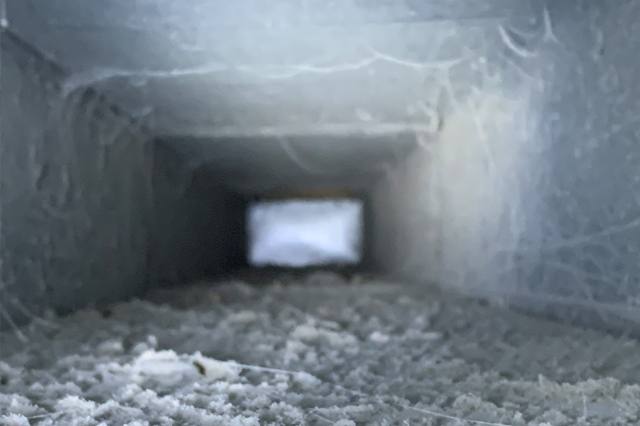 Homeowners DIY Guide: How to Clean Dryer Vent Duct